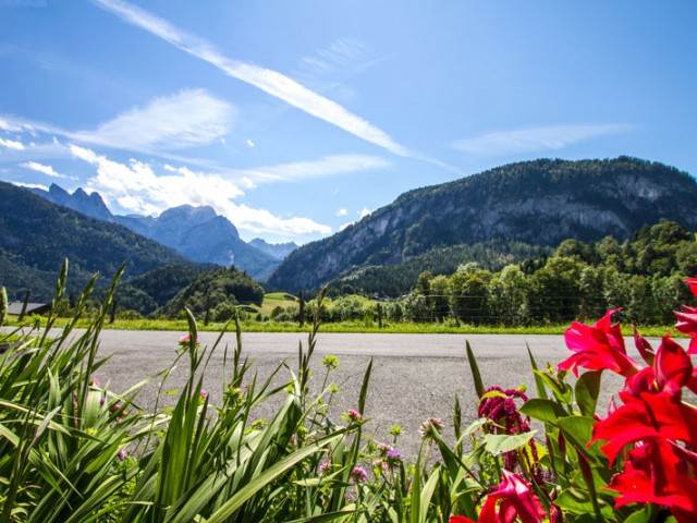 Hotel-Pension Wildschütz