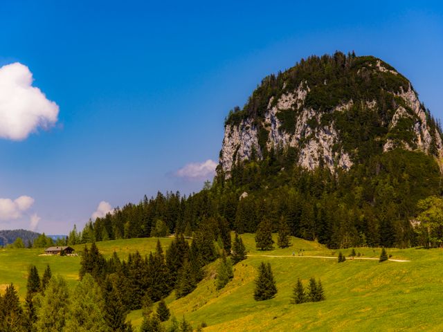 Hotel-Pension Wildschütz