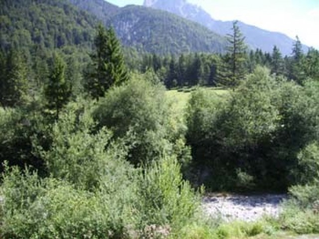 Ferienwohnungen Heigl - Pedratscher