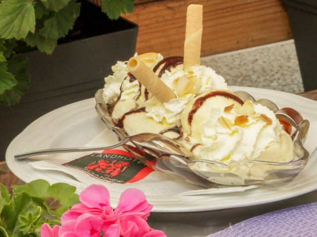 Landhotel Oberdanner