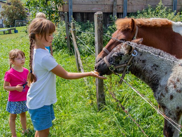 Zimmer mit Frühstück Haarlehen