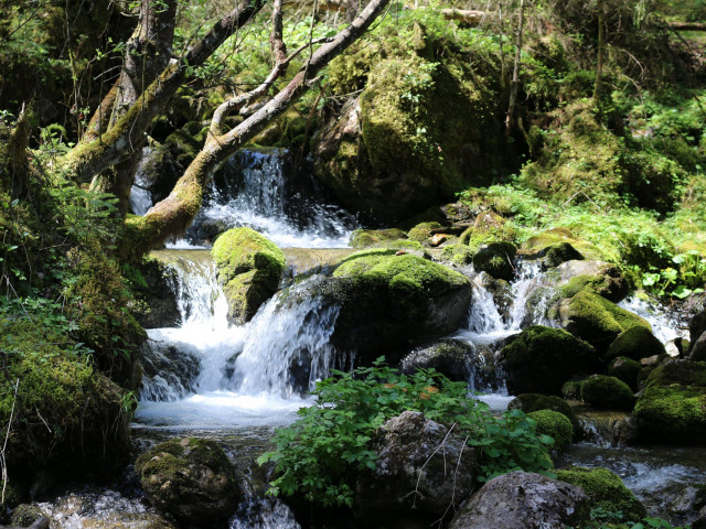 Ferienwohnungen Haus Rohrmoser