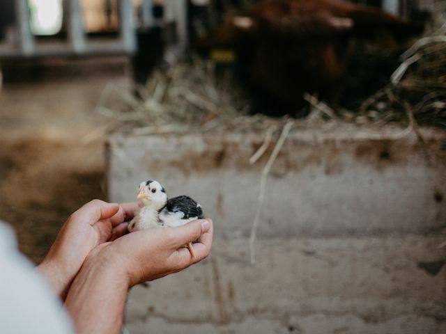 Biobauernhof Aubauer