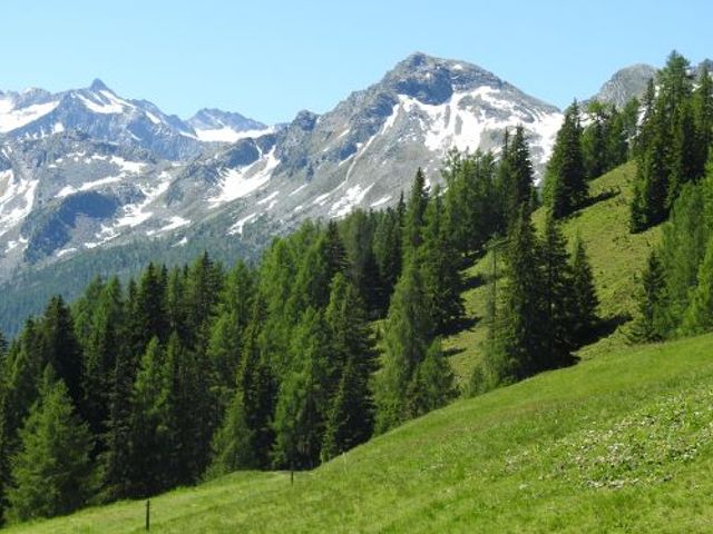 Almhütte Vorderkaser