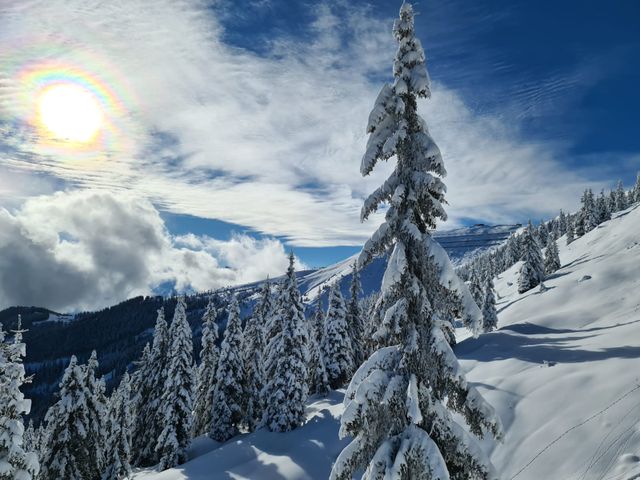 Energieparadies "Palfenhof" Bruck