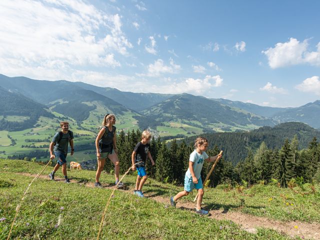 Steiner's Wellness-Appartements 