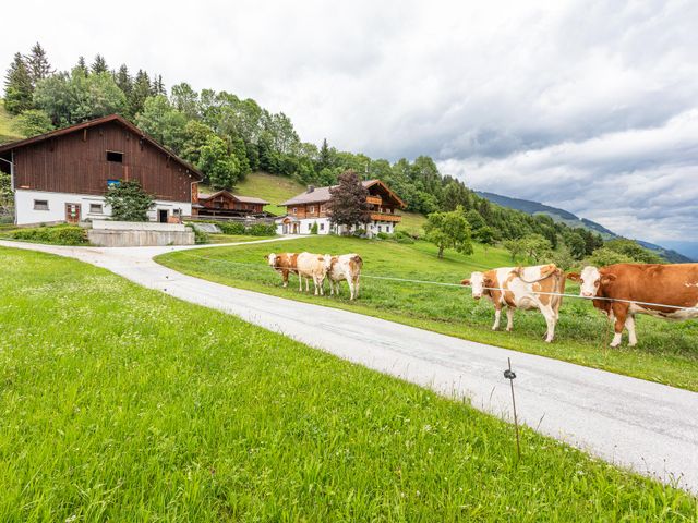 Ferienhaus Widholzhof