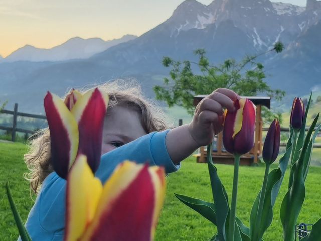 Ferienwohnungen Berg Sait