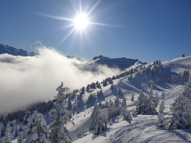 Sportchalet Viehhofen Ferienwohnungen