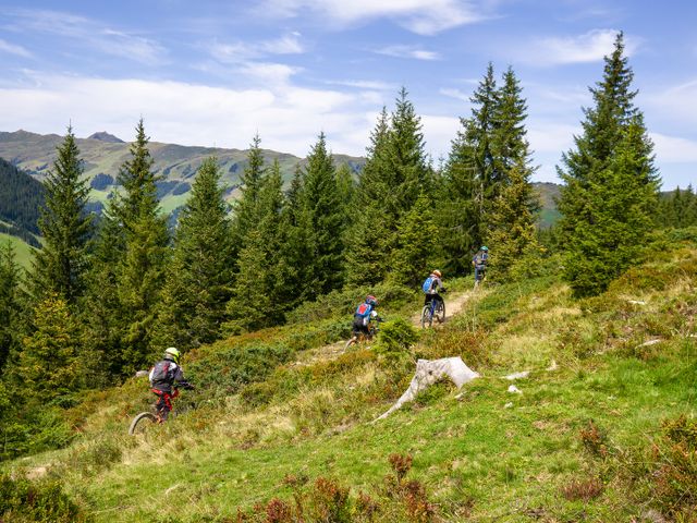 Sportchalet Viehhofen Ferienwohnungen