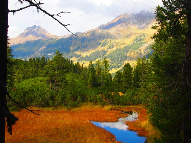 Bauernhof Tischlerwirt