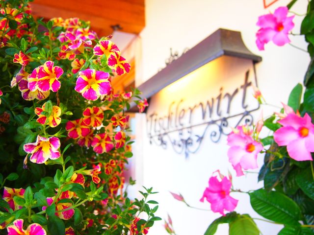 Bauernhof Tischlerwirt