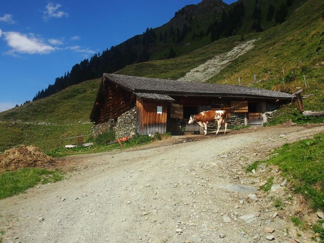 Bauernhof Tischlerwirt