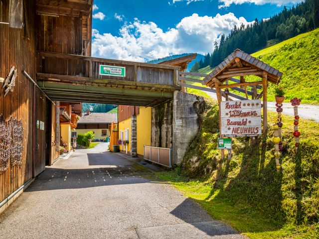 Bergbauernhof Neuhaus in Hüttschlag