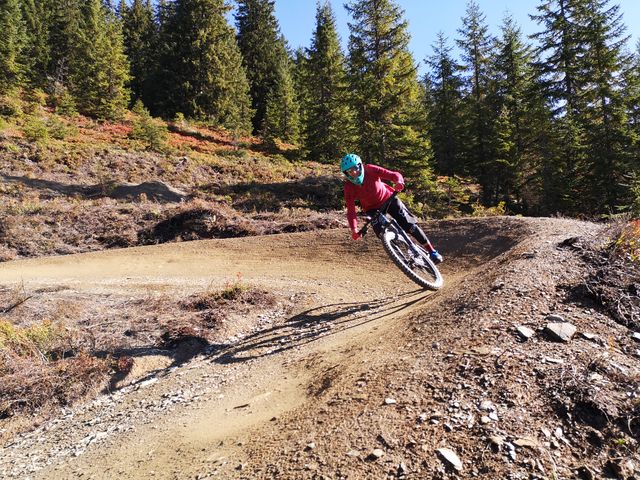 Sportchalet Viehhofen Appartements