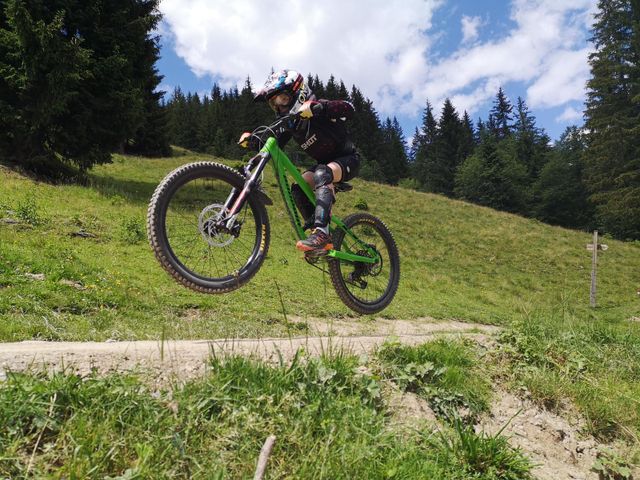 Sportchalet Viehhofen Appartements