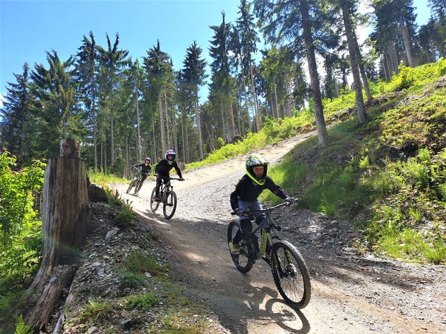 Sportchalet Viehhofen Appartements