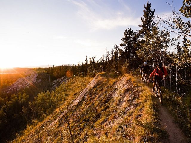 Sportchalet Viehhofen Appartements