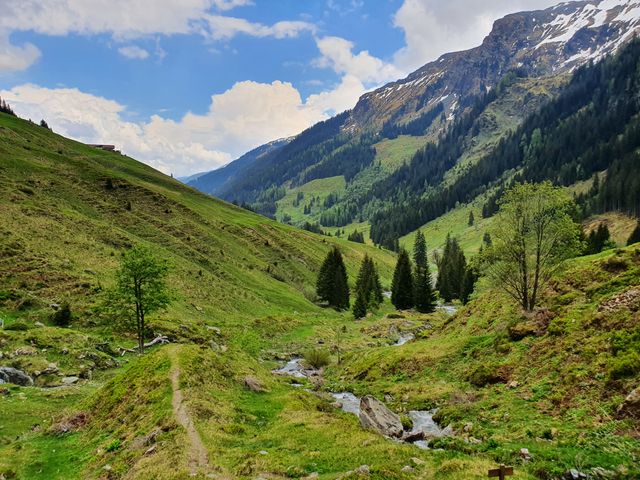 Sportchalet Viehhofen Appartements