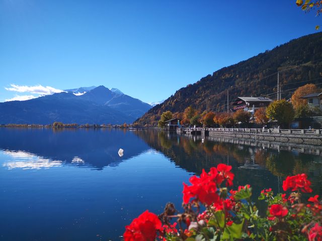 Sportchalet Viehhofen Appartements