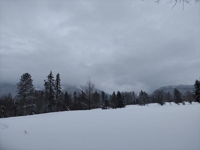 Ferienwohnungen im Golfhotel Bad Ischl