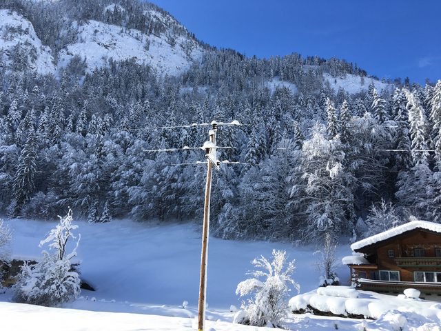 Ferienwohnungen am Moosbach