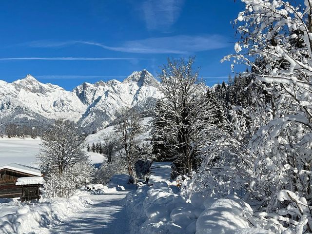 Ferienwohnungen Neuhof