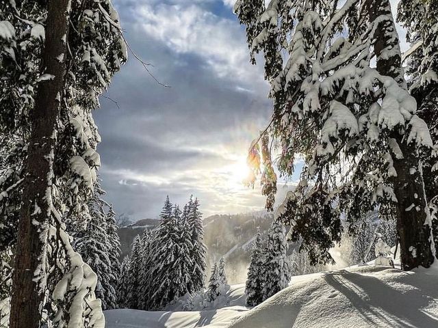 Ferienwohnungen Neuhof