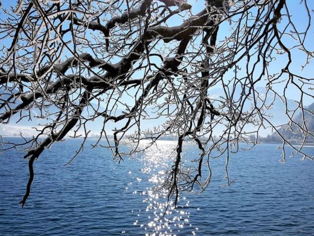 Ferienwohnungen Neuhof