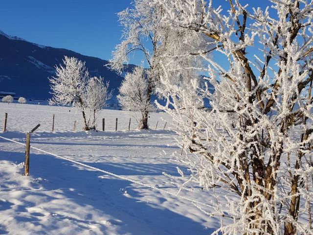 Ferienwohnungen Neuhof