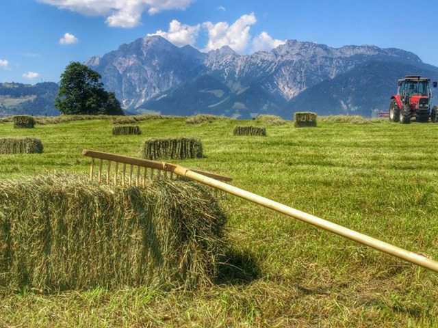 Ferienwohnungen Neuhof