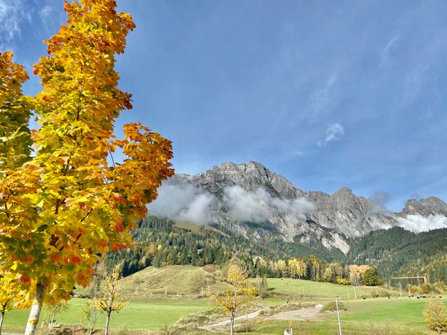 Ferienwohnungen Neuhof