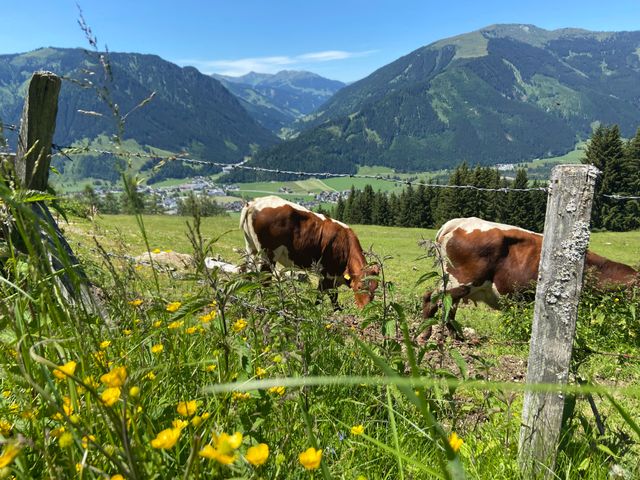 Ferienwohnungen Neuhof