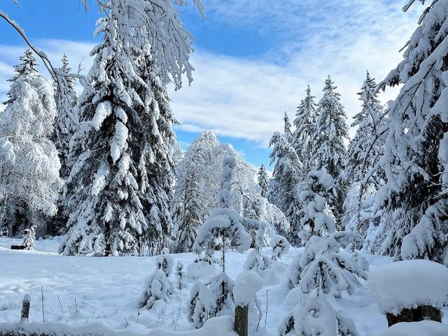 Ferienwohnungen Neuhof