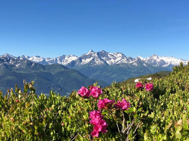 Ferienwohnungen Neuhof