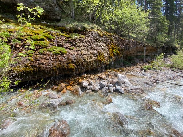 Ferienwohnungen Neuhof